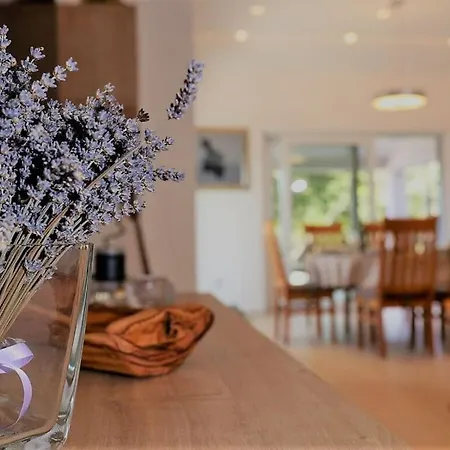 Monte Uliveto Comfortable Holiday